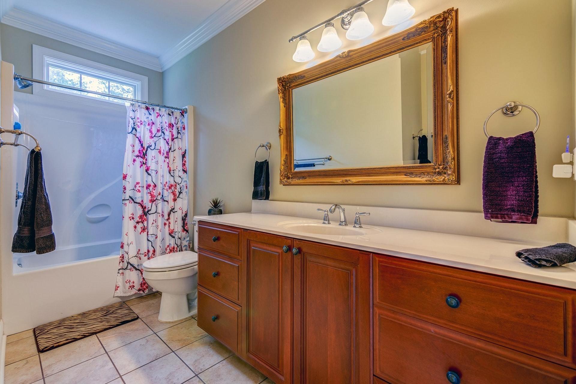 565 Charlie Road Hardy, VA 24101 - Photo 10 of 58 a bathroom with a sink mirror vanity and toilet