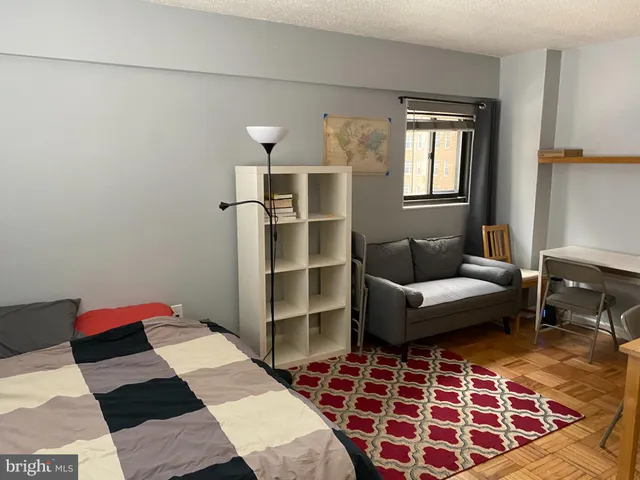 a living room with a couch and a rug