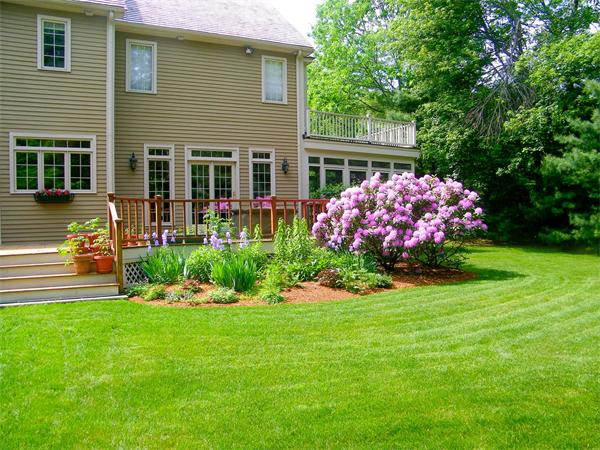 6 Preservation Way Medfield, MA 02052 - Photo 26 of 30 a front view of a house with a yard and potted plants
