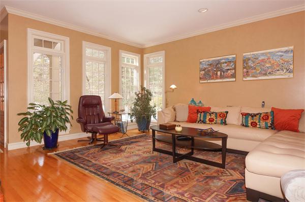 6 Preservation Way Medfield, MA 02052 - Photo 10 of 30 a living room with furniture or couch and a potted plant