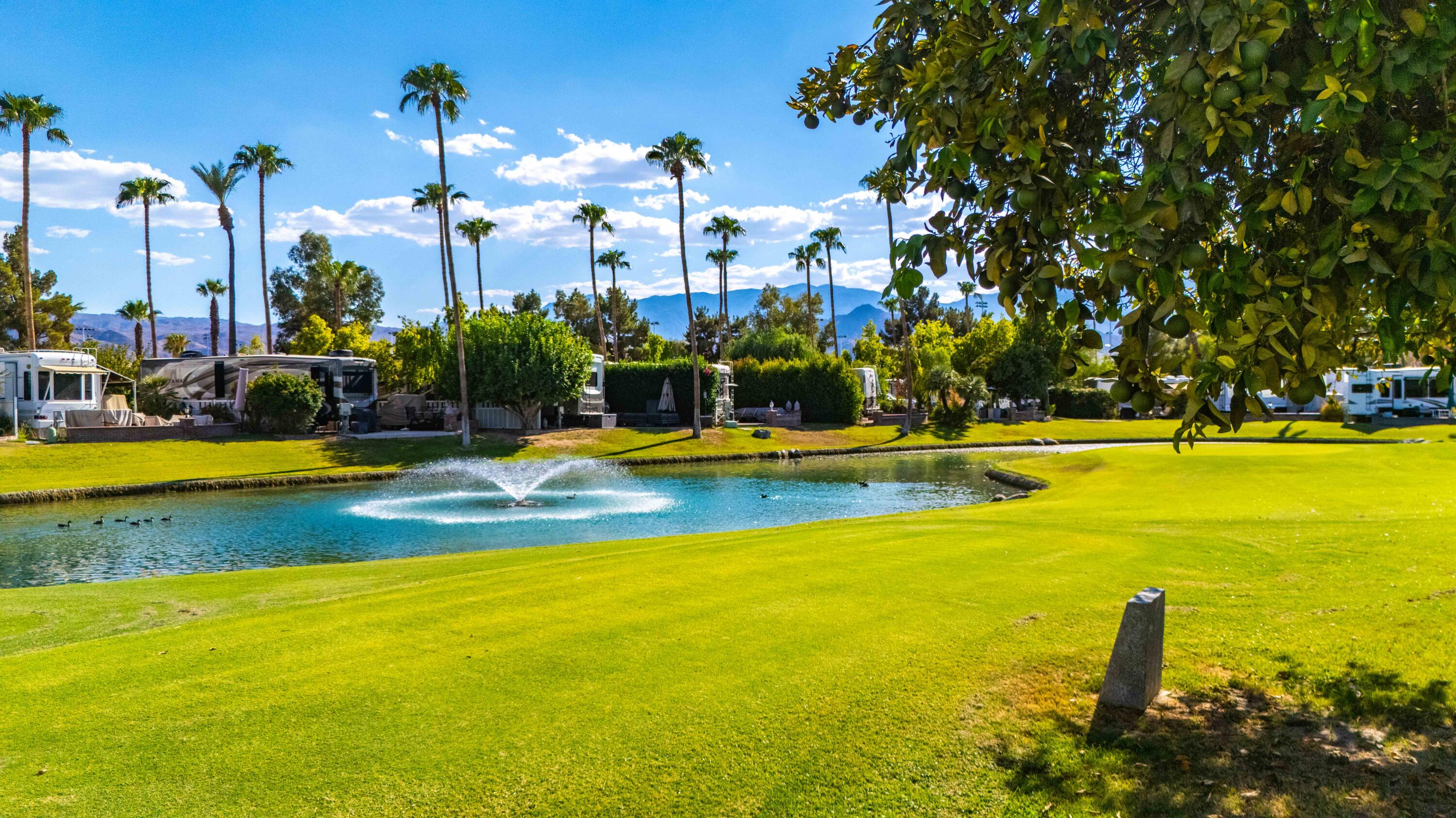 69411 Ramon Road, Unit 994 Cathedral City, CA 92234 - Photo 4 of 58 DJI_20240905160932_0878_D