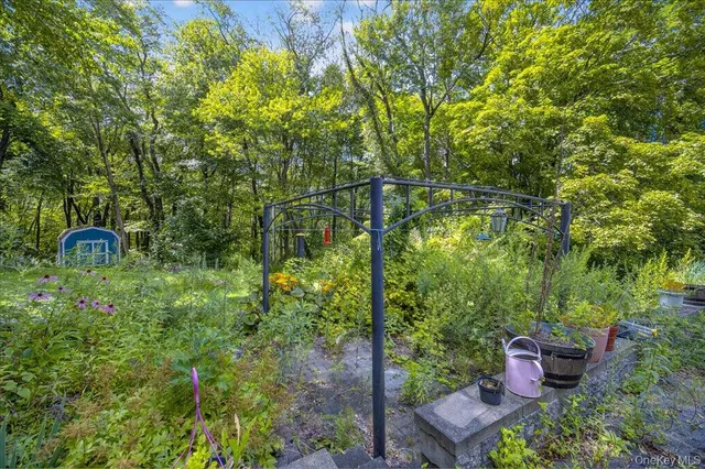 a view of a back yard