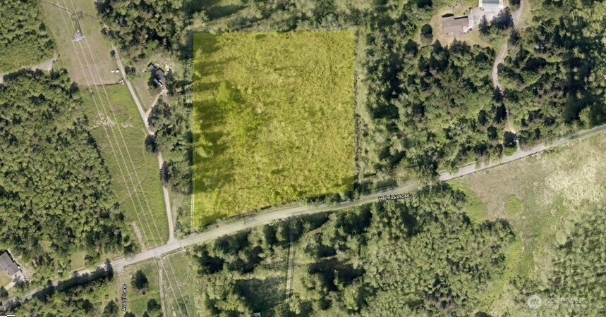 a view of a garden with plants
