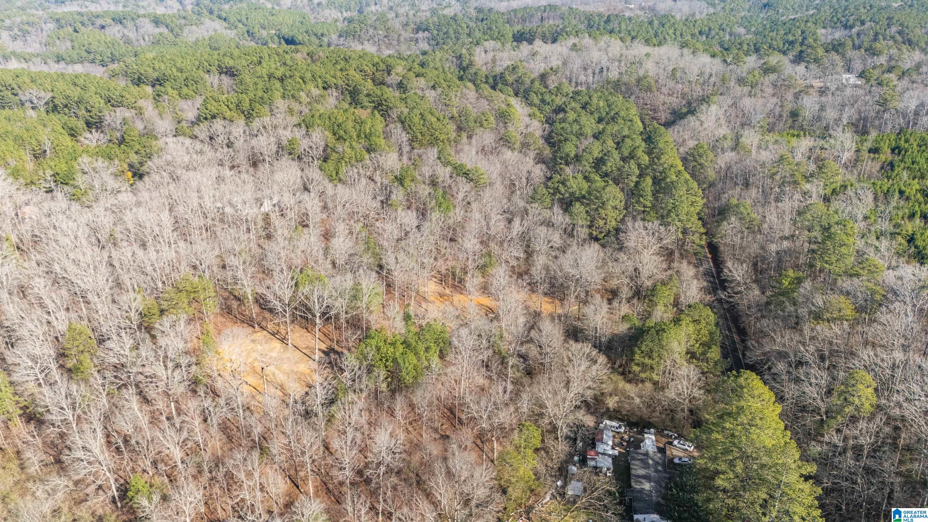 7019 Groundhog Road, Unit 1 Morris, AL 35116 - Photo 3 of 22