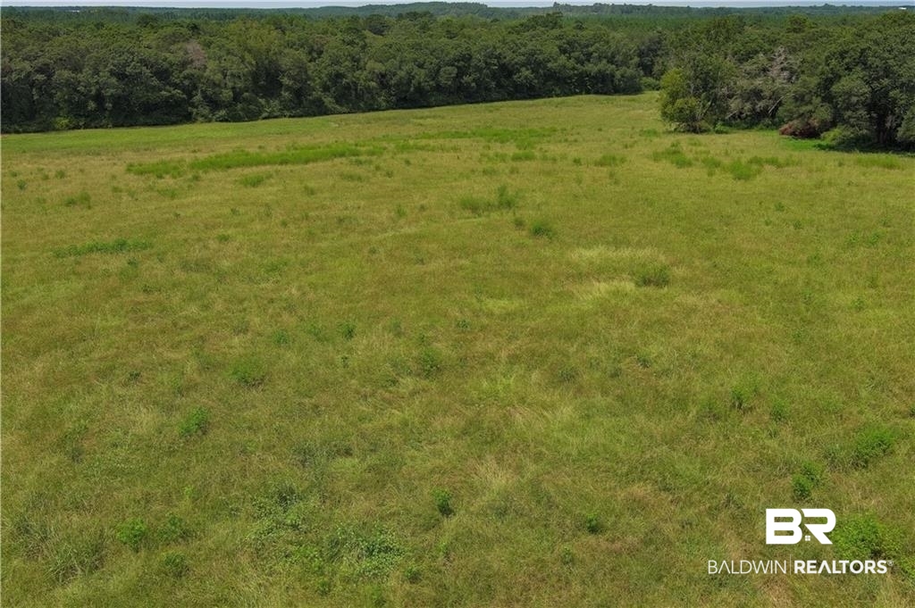 0 Circle R Farm Drive Florala, AL 36442 - Photo 9 of 25