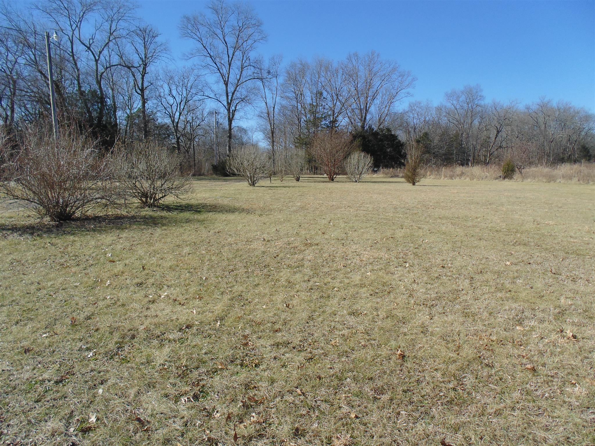 178 Haskins Road Lewisburg, TN 37091 - Photo 4 of 22 Level field in front of home.