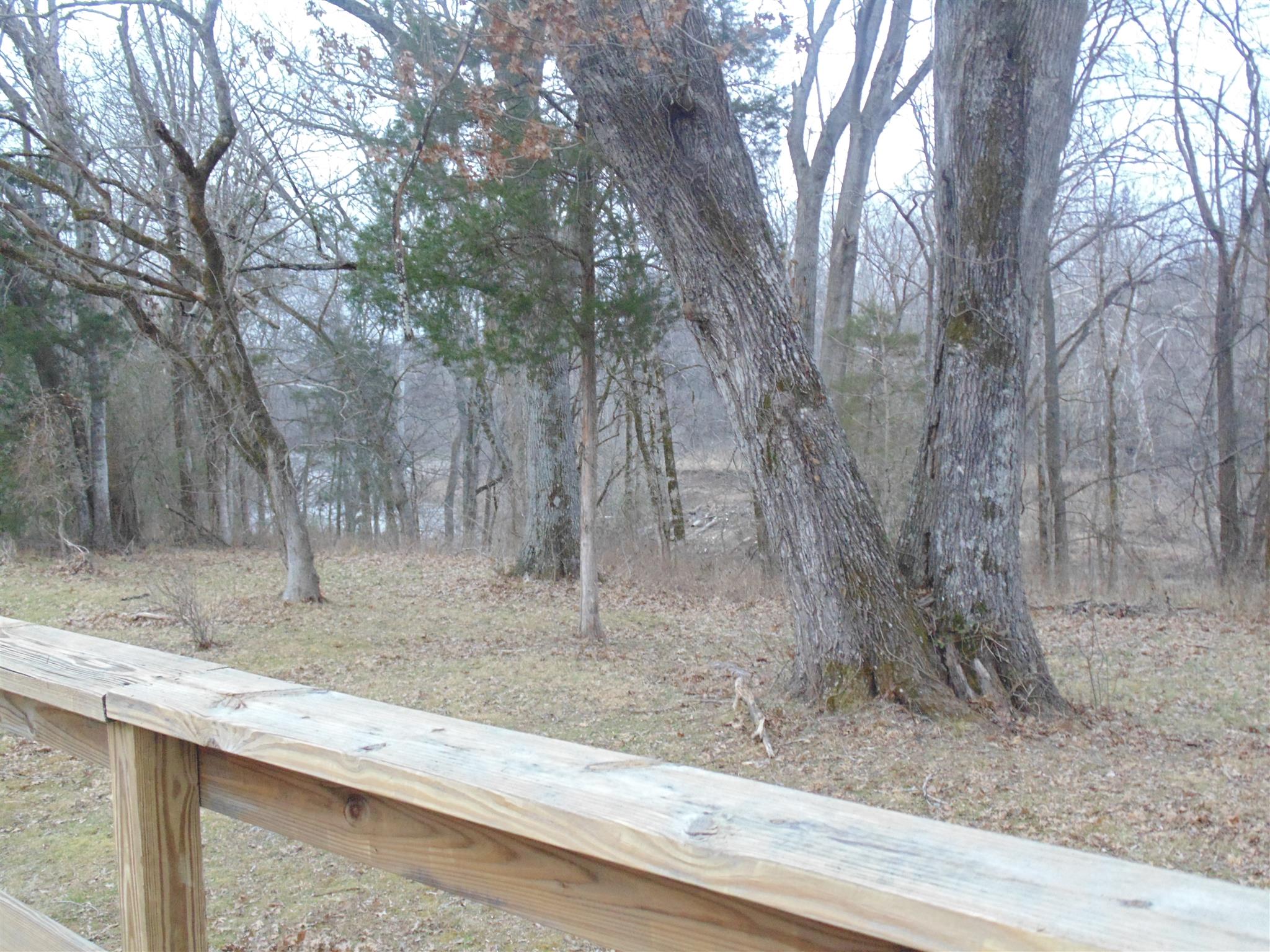 178 Haskins Road Lewisburg, TN 37091 - Photo 9 of 22 Gallery Image 9