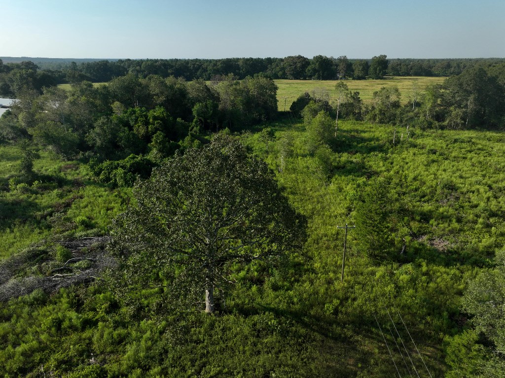 5 Arch Helms Road Americus, GA 31719 - Photo 11 of 19
