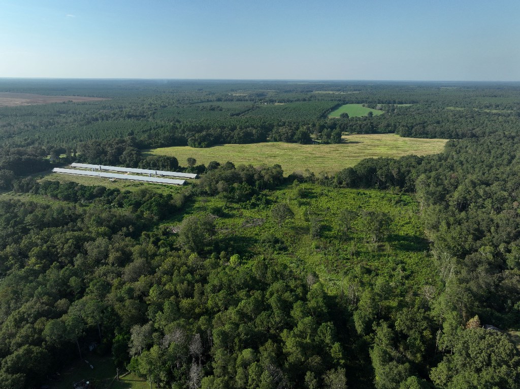5 Arch Helms Road Americus, GA 31719 - Photo 12 of 19