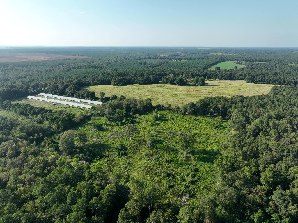 5 Arch Helms Road Americus, GA 31719 - Photo 13 of 19
