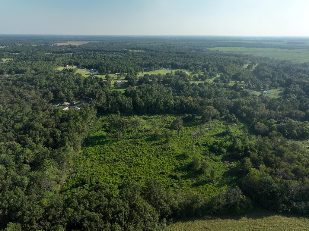 5 Arch Helms Road Americus, GA 31719 - Photo 16 of 19