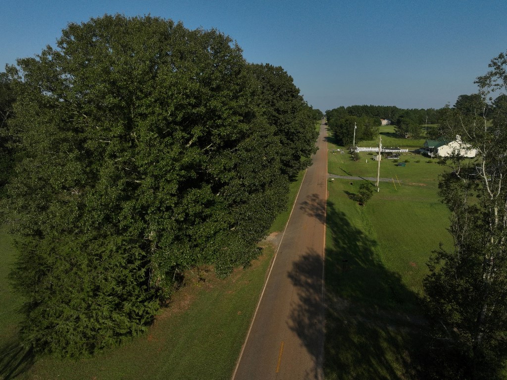 5 Arch Helms Road Americus, GA 31719 - Photo 4 of 19