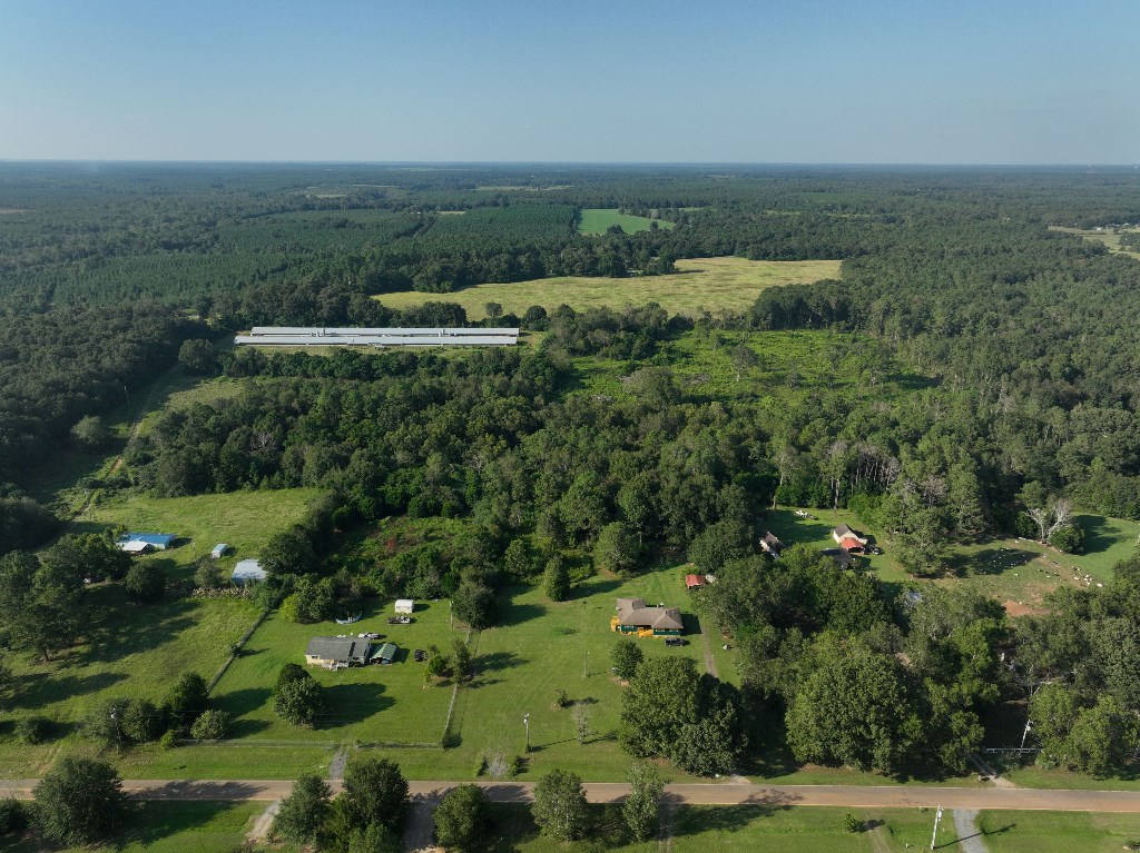 5 Arch Helms Road Americus, GA 31719 - Photo 5 of 19