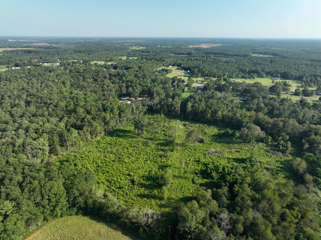 5 Arch Helms Road Americus, GA 31719 - Photo 7 of 19