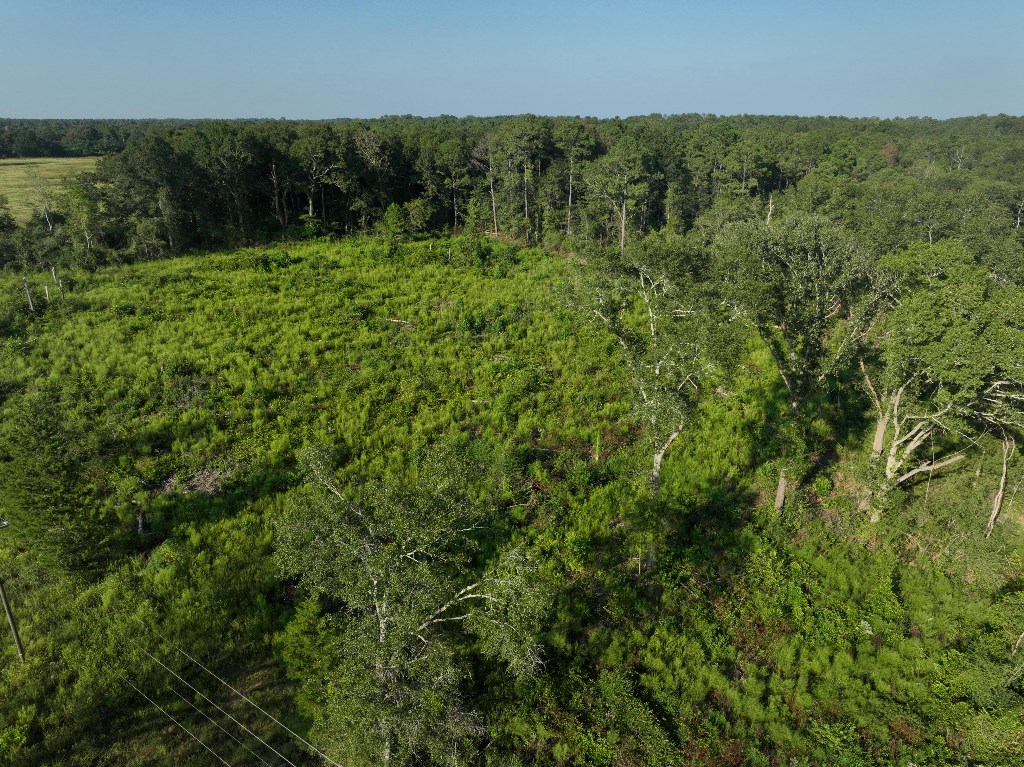 5 Arch Helms Road Americus, GA 31719 - Photo 10 of 19