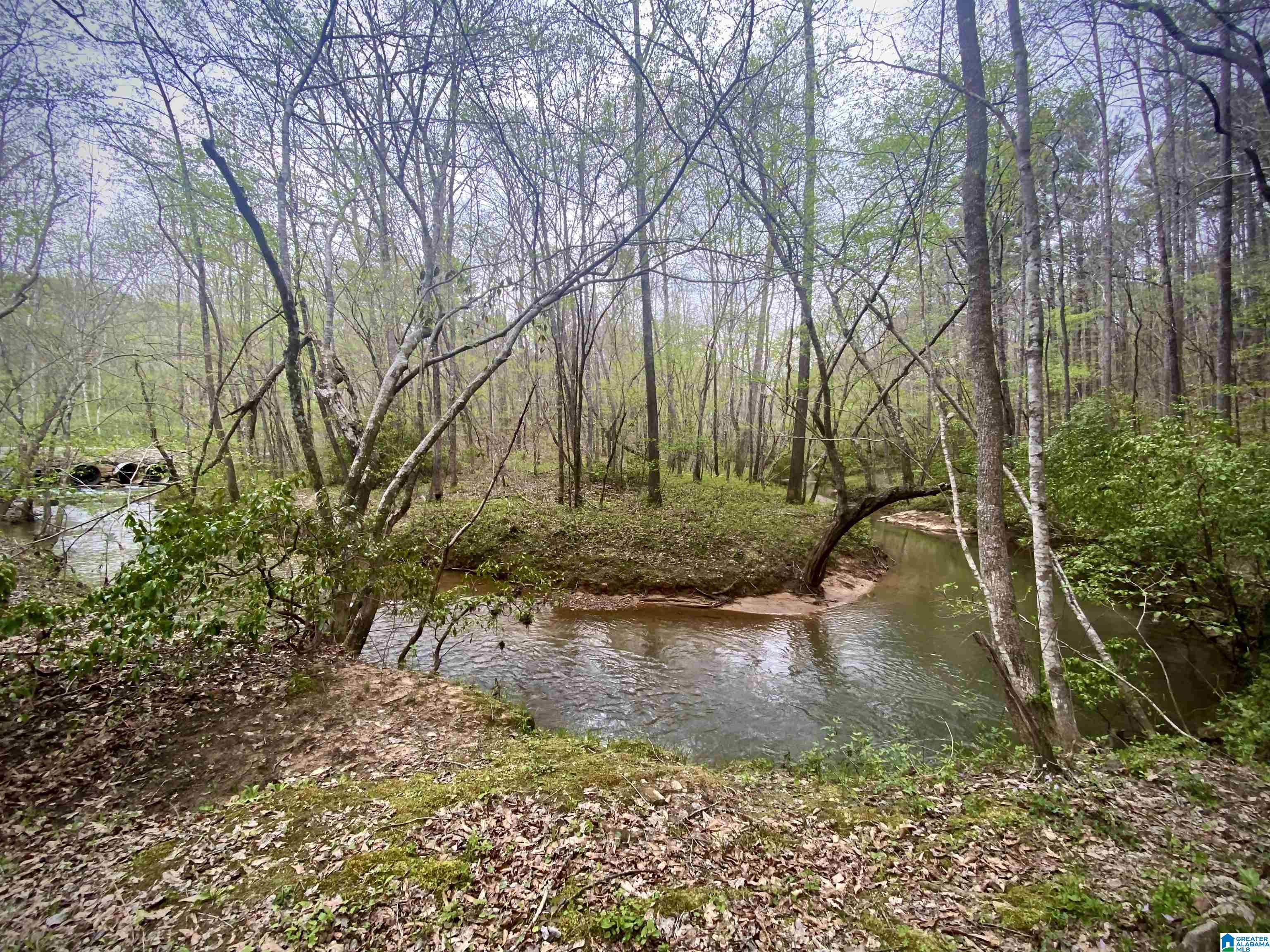 120 Mountain Crk Road Springville, AL 35146 - Photo 28 of 31