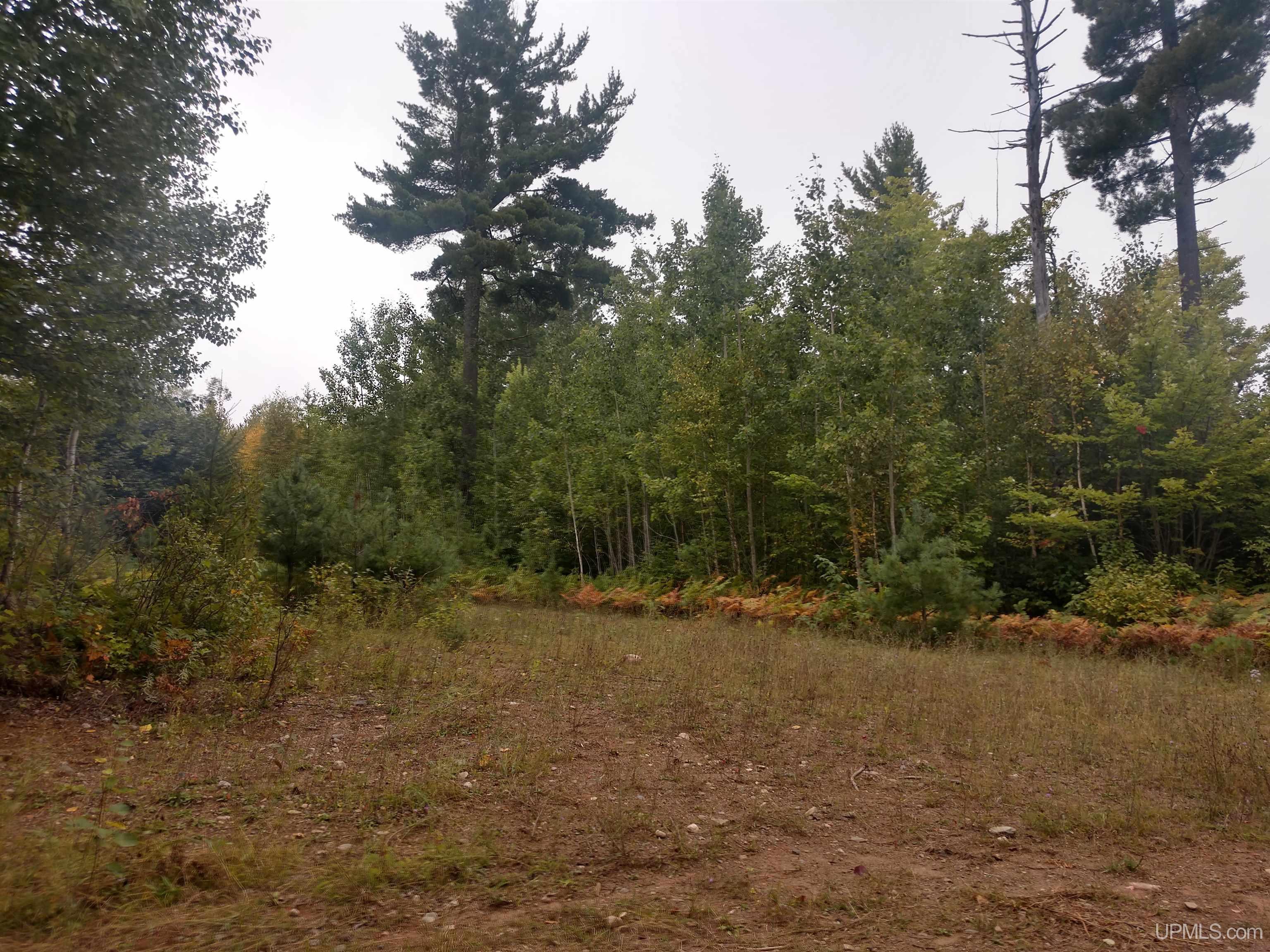 80-acres Grant Lake Road Republic, MI 49879 - Photo 13 of 17 Gallery Image 13
