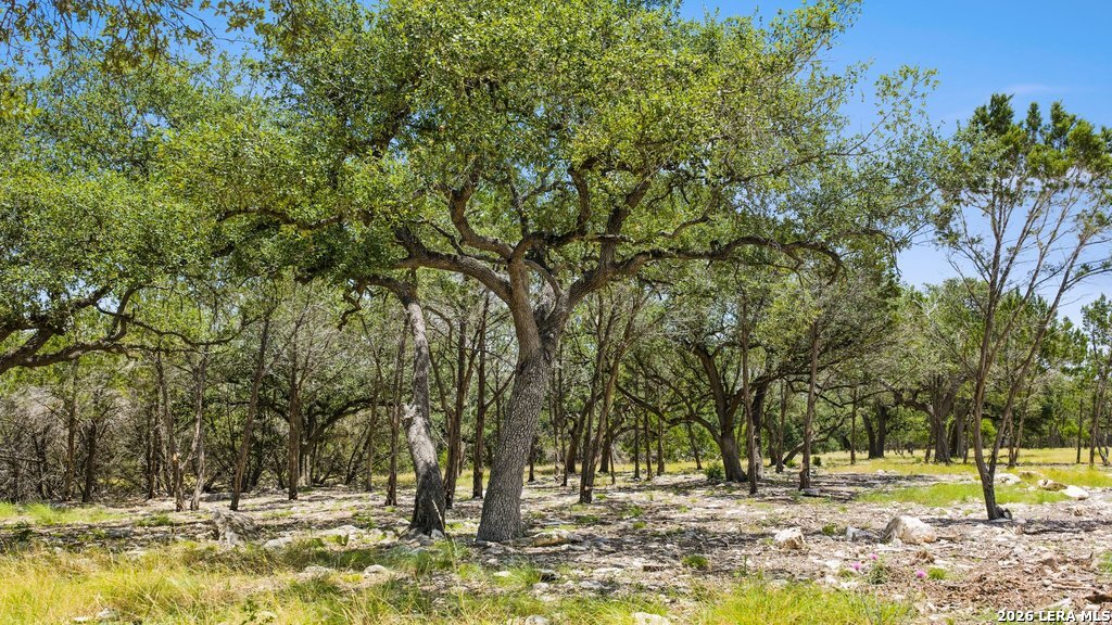 5 Cypress Cove Road Spring Branch, TX 78070 - Photo 6 of 17 Gallery Image 6