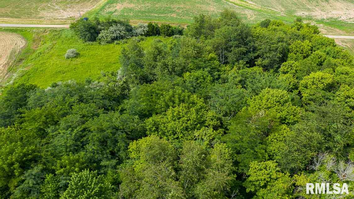 0 Bomke Road Pleasant Plains, IL 62677 - Photo 11 of 13 Gallery Image 11