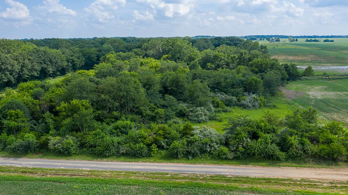 0 Bomke Road Pleasant Plains, IL 62677 - Photo 2 of 13 Gallery Image 2