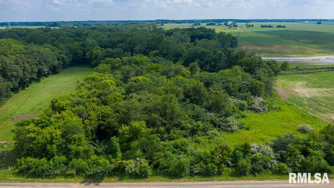 0 Bomke Road Pleasant Plains, IL 62677 - Photo 4 of 13 Gallery Image 4