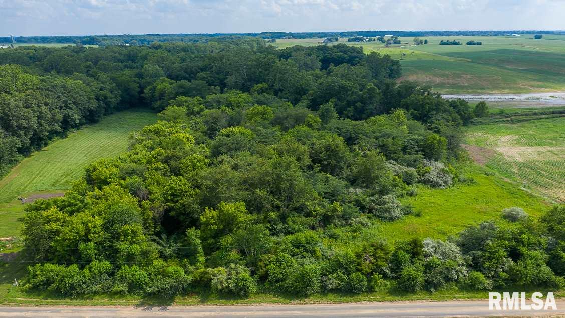 0 Bomke Road Pleasant Plains, IL 62677 - Photo 5 of 13 Gallery Image 5