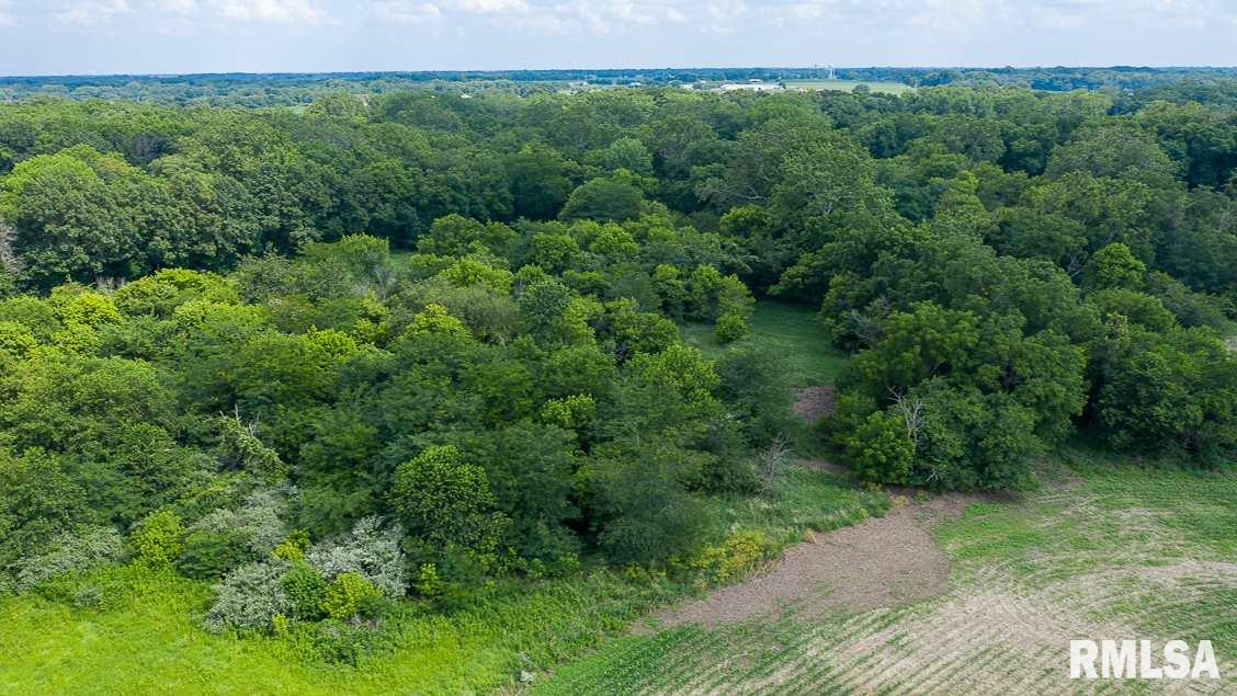 0 Bomke Road Pleasant Plains, IL 62677 - Photo 6 of 13 Gallery Image 6
