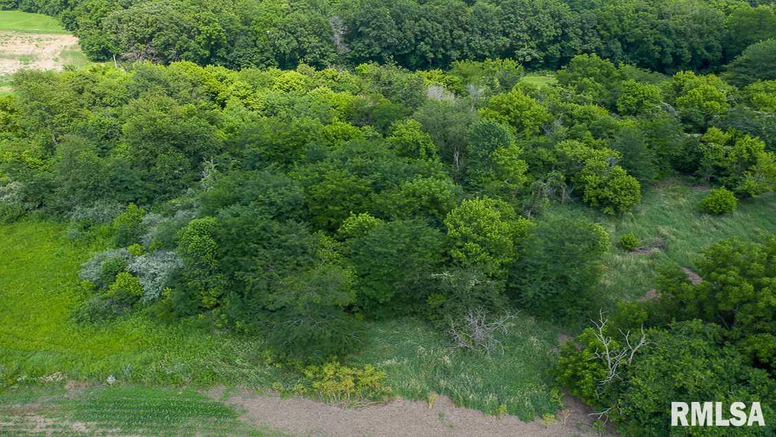 0 Bomke Road Pleasant Plains, IL 62677 - Photo 7 of 13 Gallery Image 7