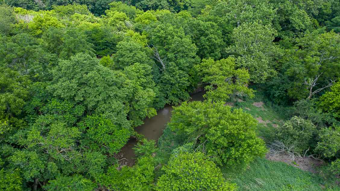 0 Bomke Road Pleasant Plains, IL 62677 - Photo 8 of 13 Gallery Image 8