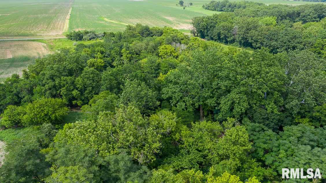 0 Bomke Road Pleasant Plains, IL 62677 - Photo 9 of 13 Gallery Image 9