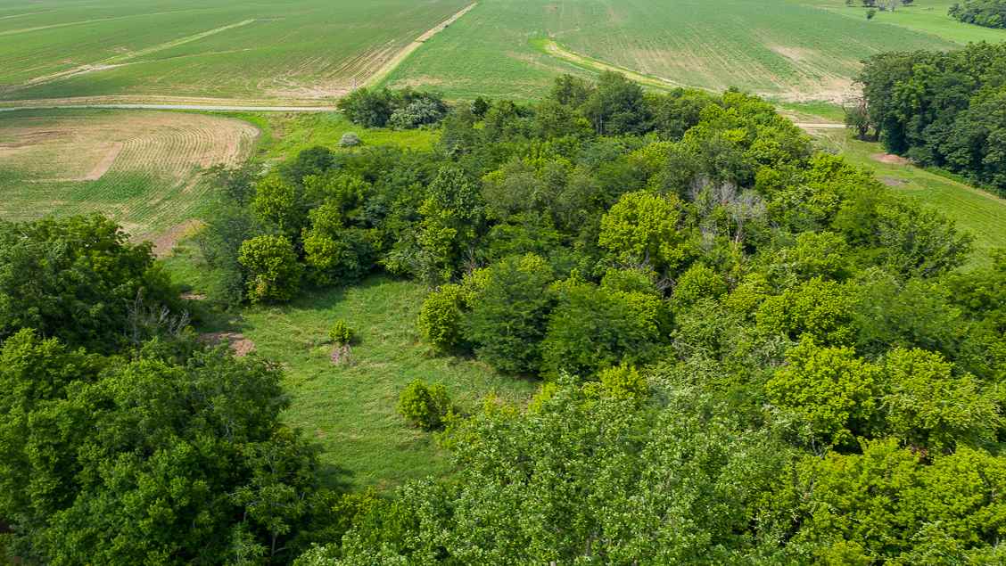 0 Bomke Road Pleasant Plains, IL 62677 - Photo 10 of 13 Gallery Image 10