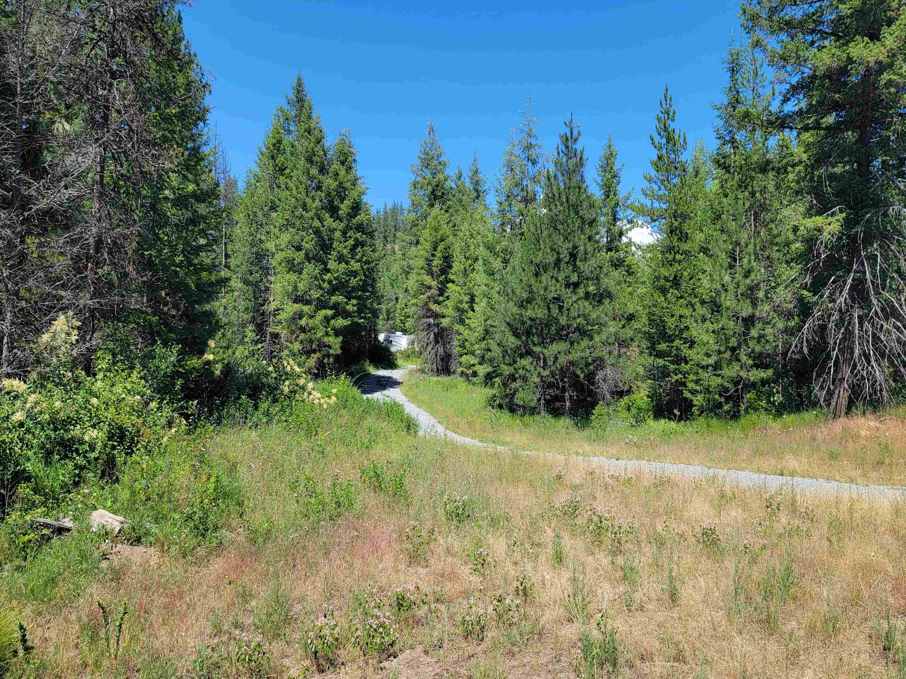 1456-1460 Misty Ridge Lane Newport, WA 99156 - Photo 6 of 48