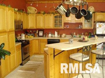 4475 Rosebud Road Metropolis, IL 62960 - Photo 2 of 8