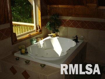 4475 Rosebud Road Metropolis, IL 62960 - Photo 5 of 8