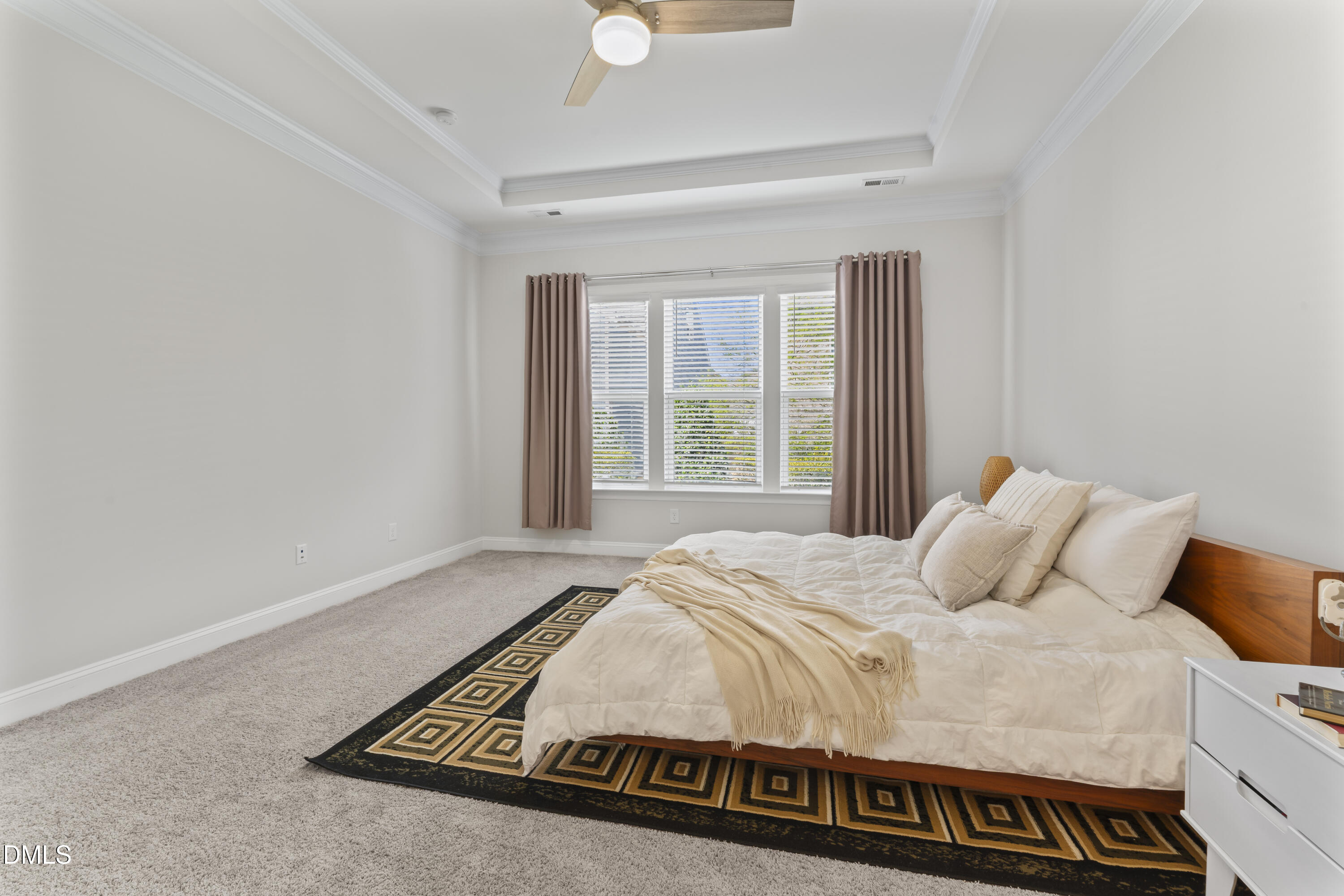 125 Damsire Way Cary, NC 27513 - Photo 25 of 54 Primary Suite with Tray Ceiling