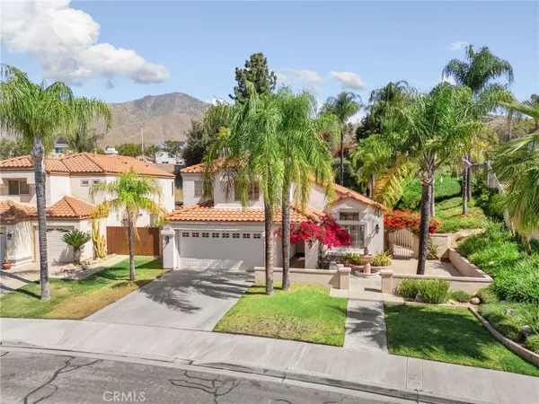 a view of a park with palm trees