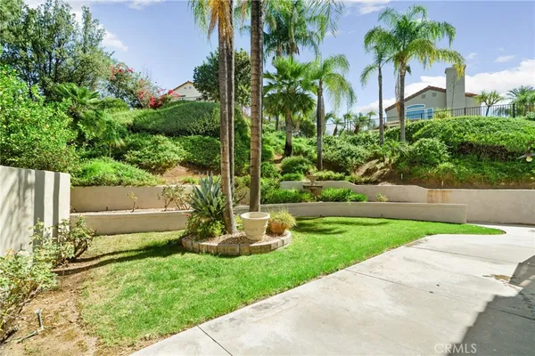 a view of a yard with plants