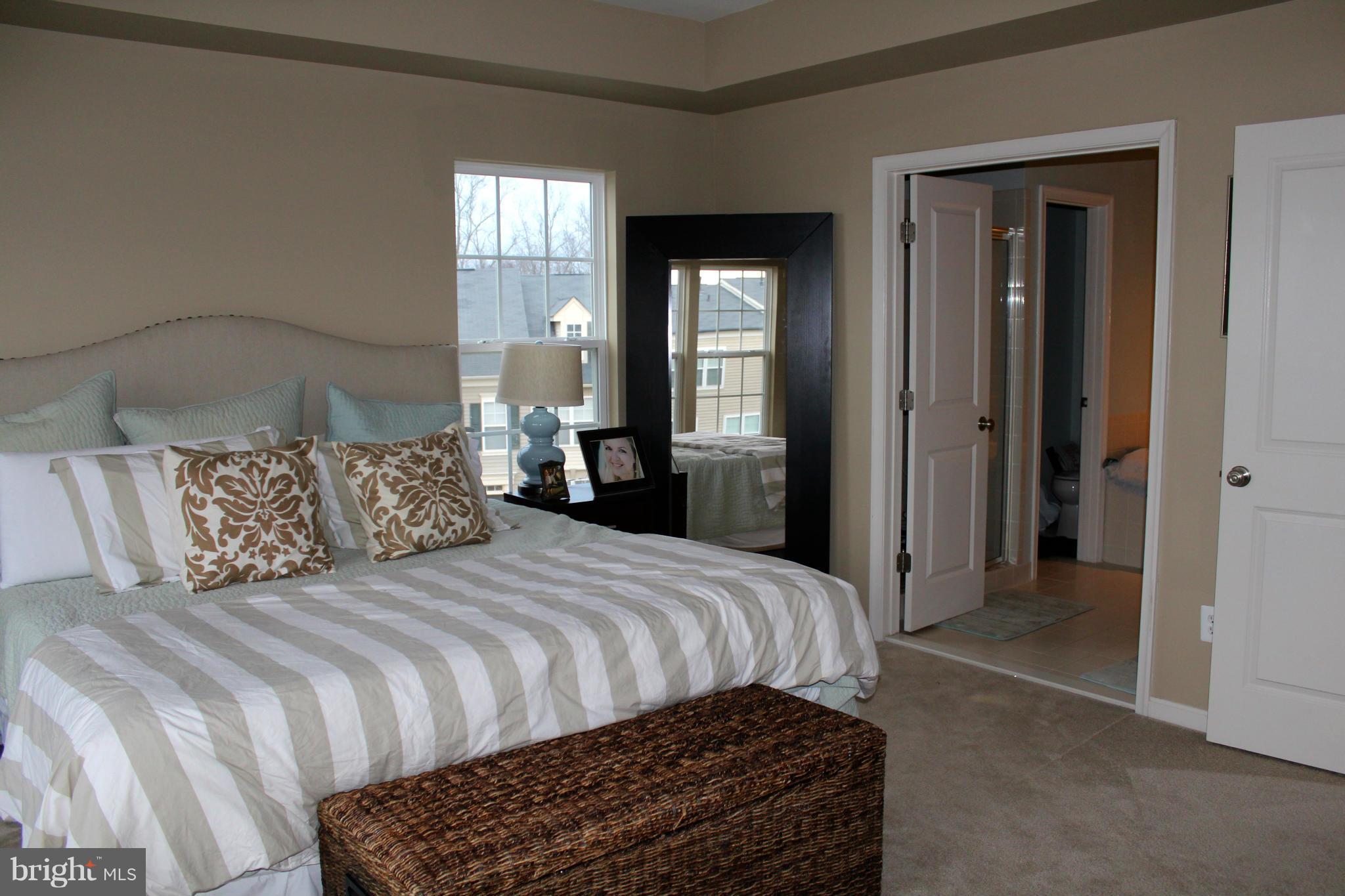9088 Ribbon Falls Loop Bristow, VA 20136 - Photo 11 of 15 Bedroom (Master)