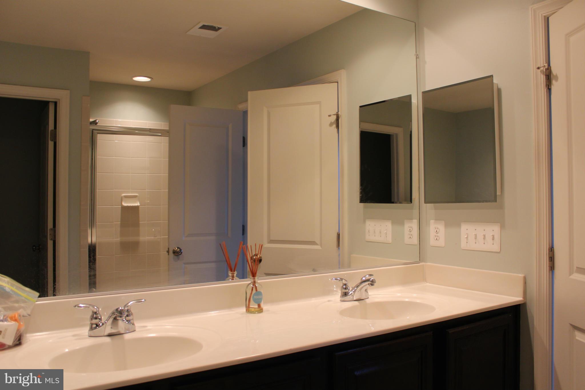 9088 Ribbon Falls Loop Bristow, VA 20136 - Photo 12 of 15 Bath (Master)