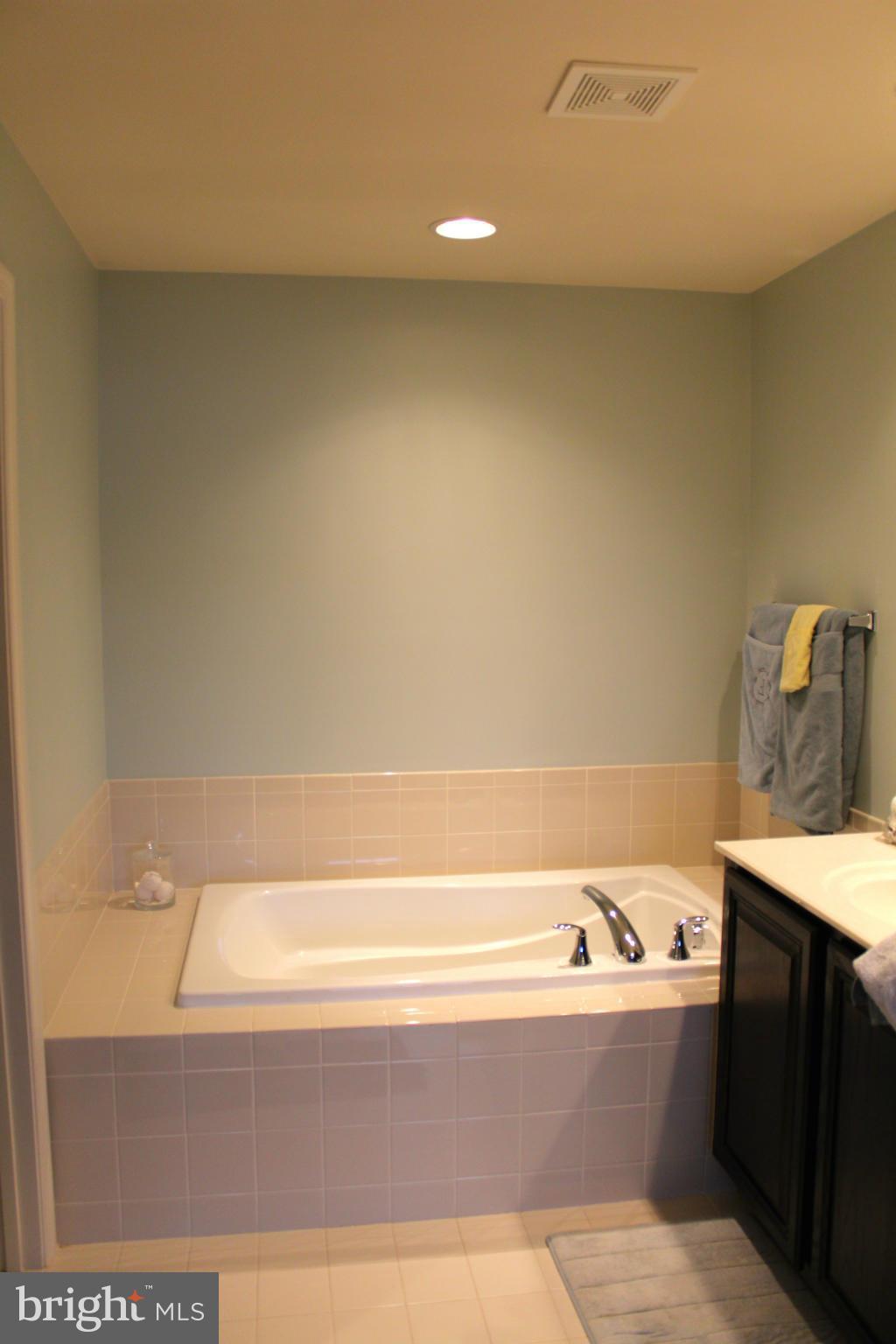 9088 Ribbon Falls Loop Bristow, VA 20136 - Photo 13 of 15 Bath (Master)
