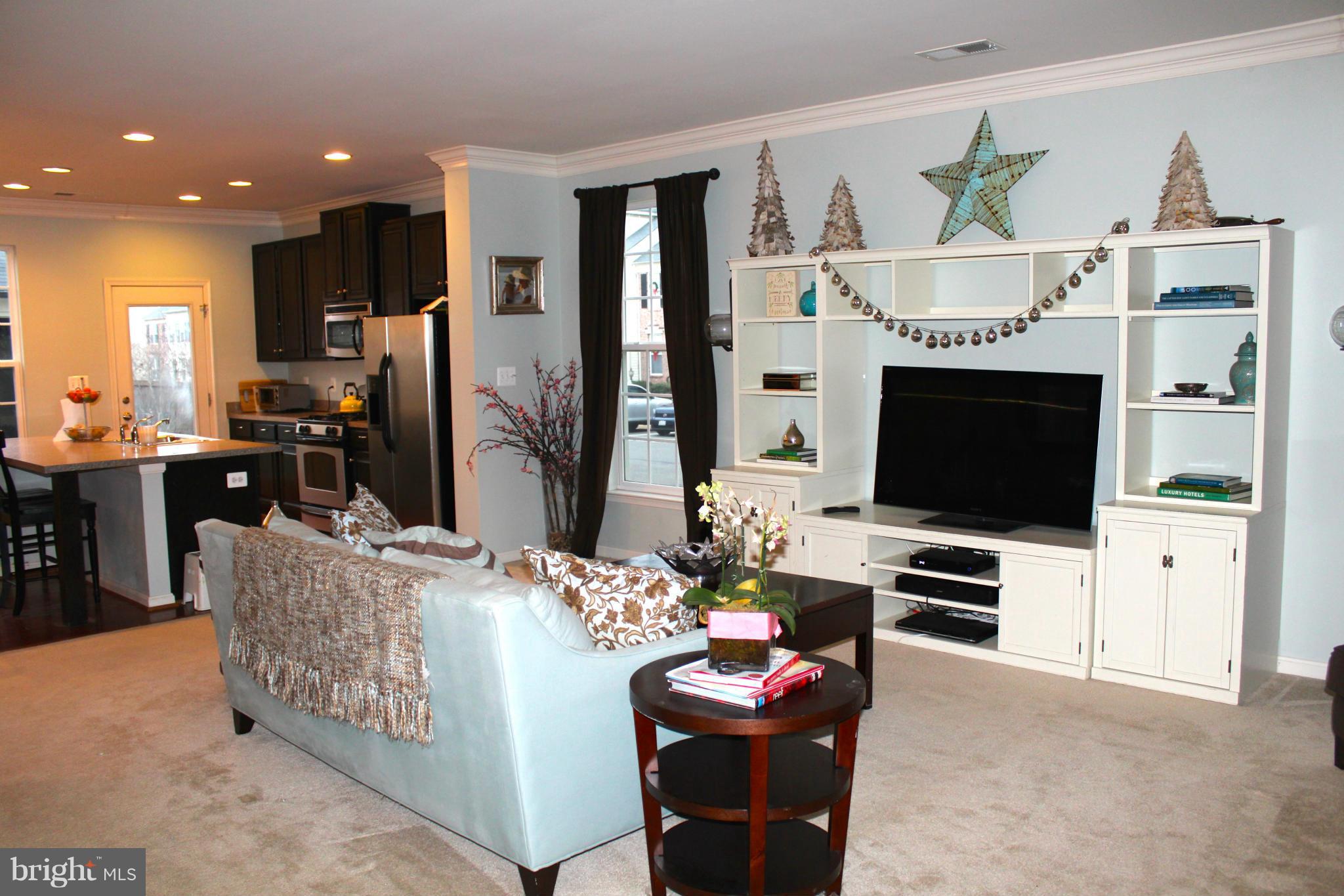 9088 Ribbon Falls Loop Bristow, VA 20136 - Photo 3 of 15 Family Room