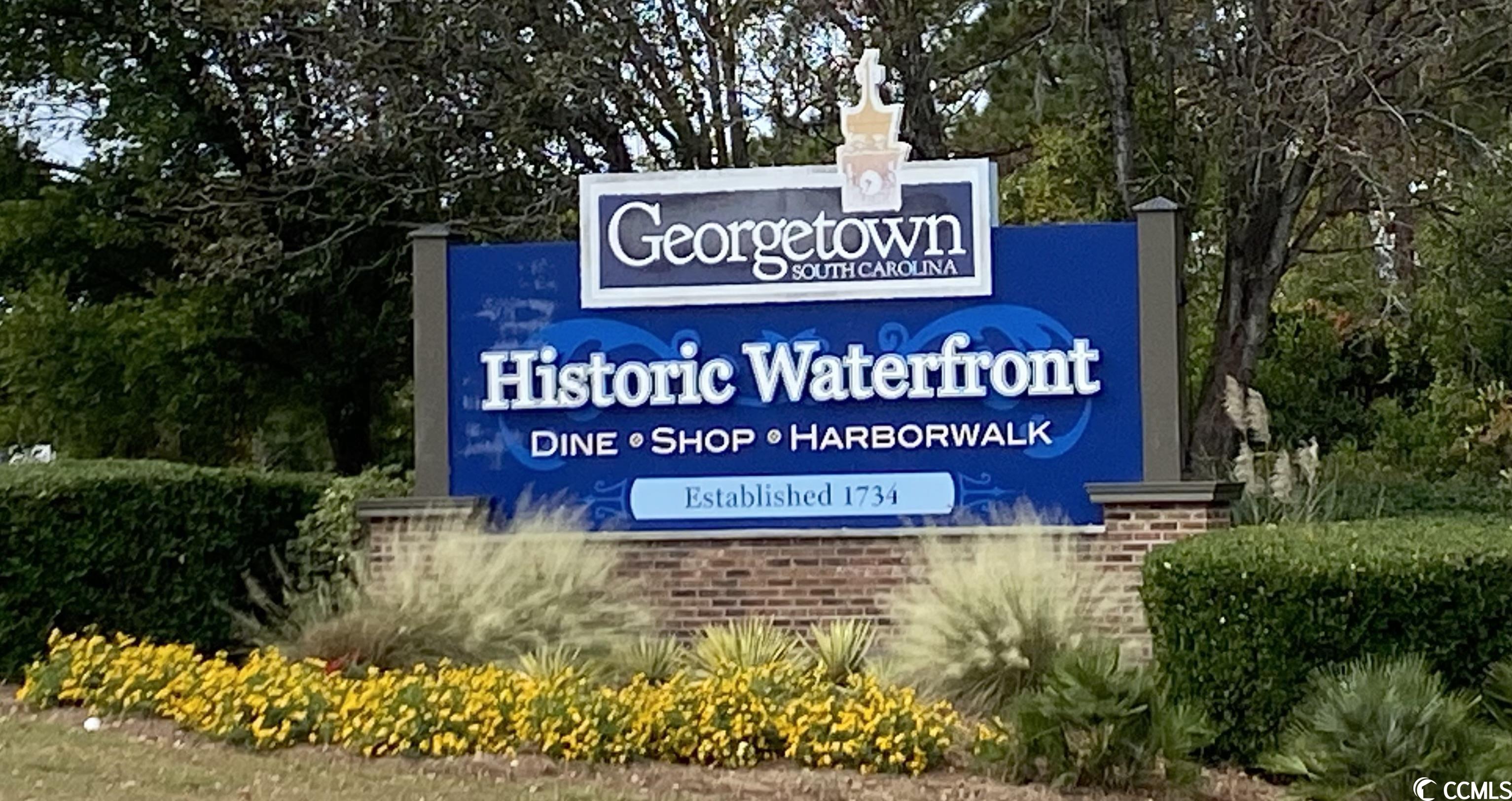 21 Nushell Street Georgetown, SC 29440 - Photo 3 of 40