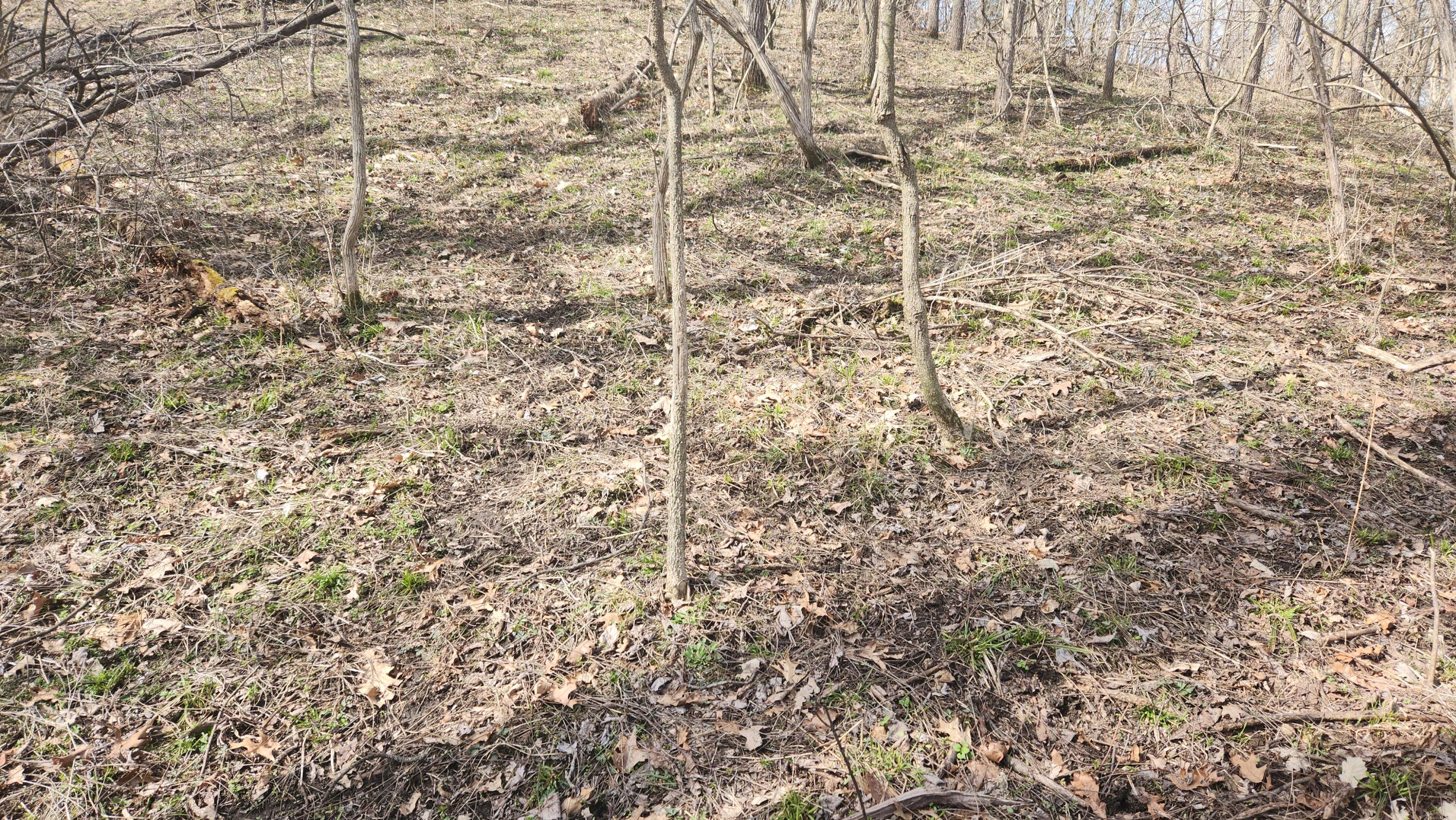 13245 Logan Road Manchester, MI 48158 - Photo 13 of 21 12Deer Trails