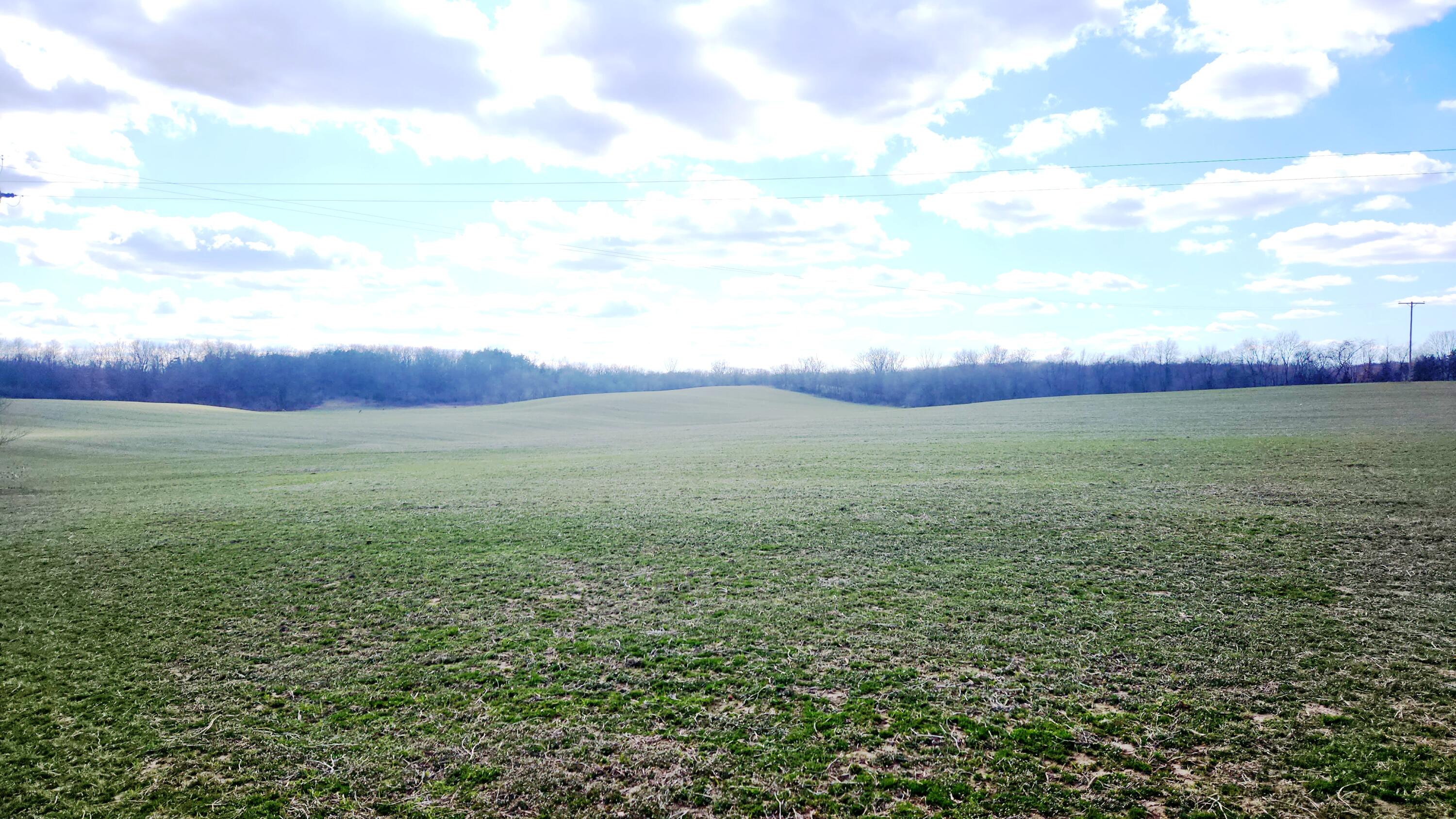 13245 Logan Road Manchester, MI 48158 - Photo 15 of 21 14Farmland