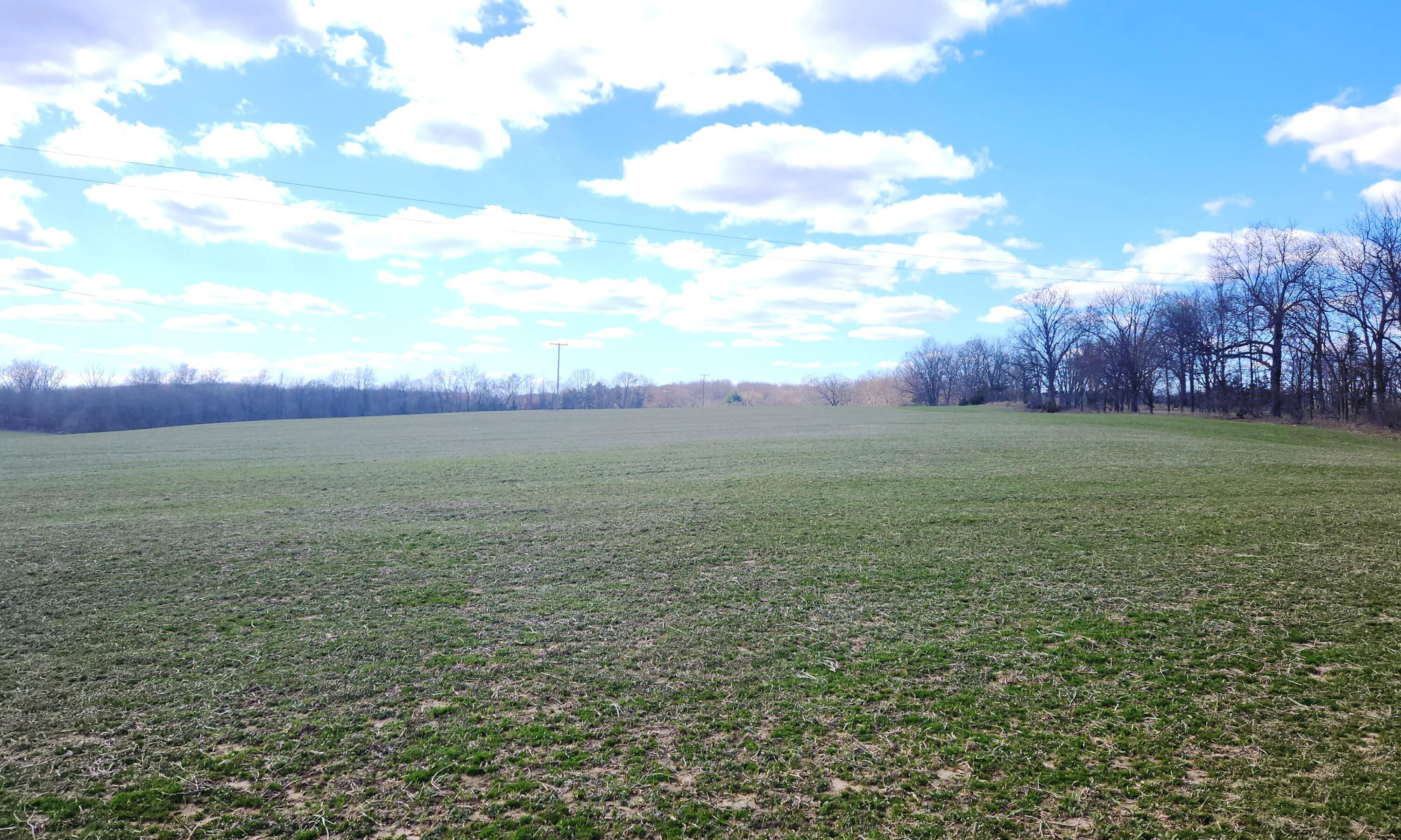 13245 Logan Road Manchester, MI 48158 - Photo 16 of 21 15Farmland2