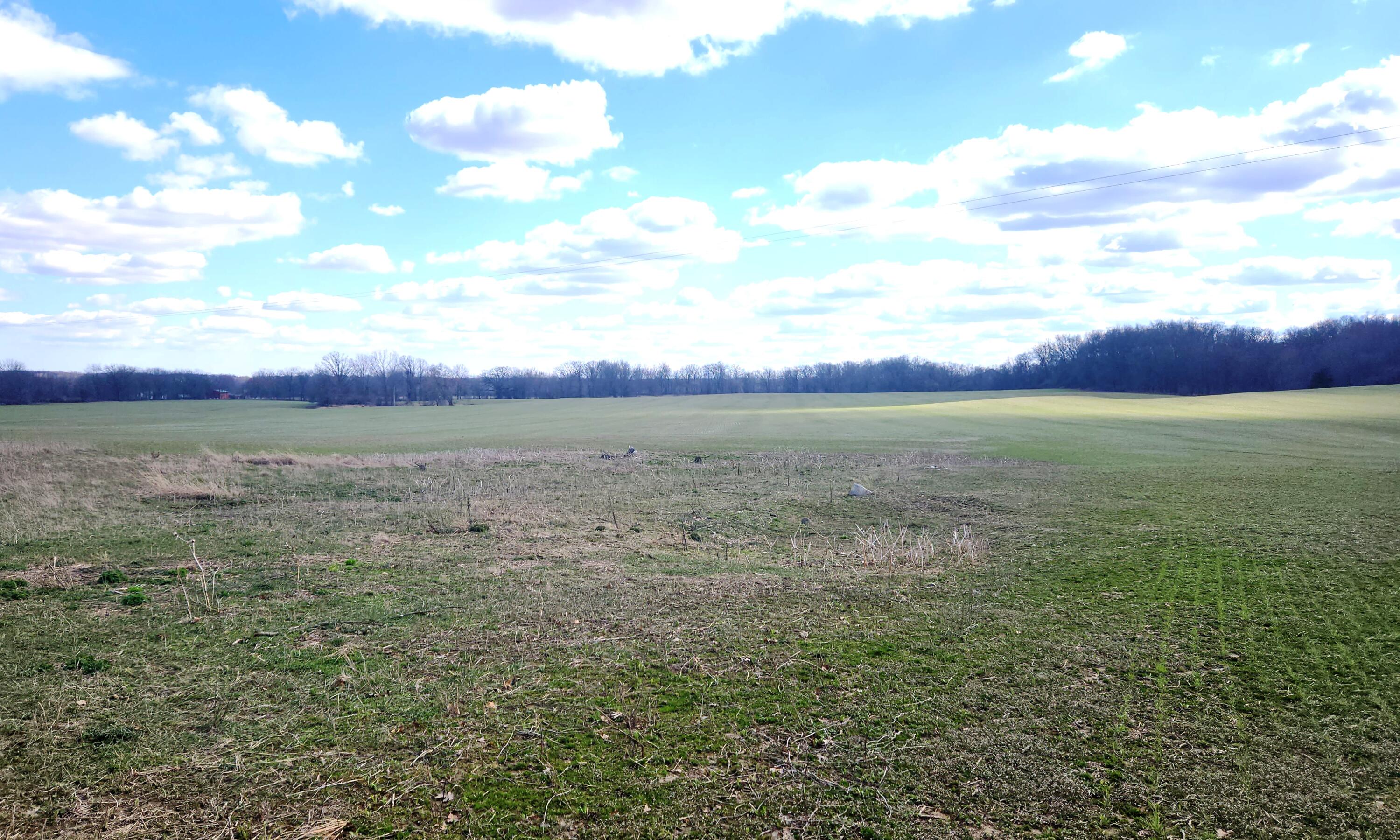 13245 Logan Road Manchester, MI 48158 - Photo 17 of 21 16Farmland1