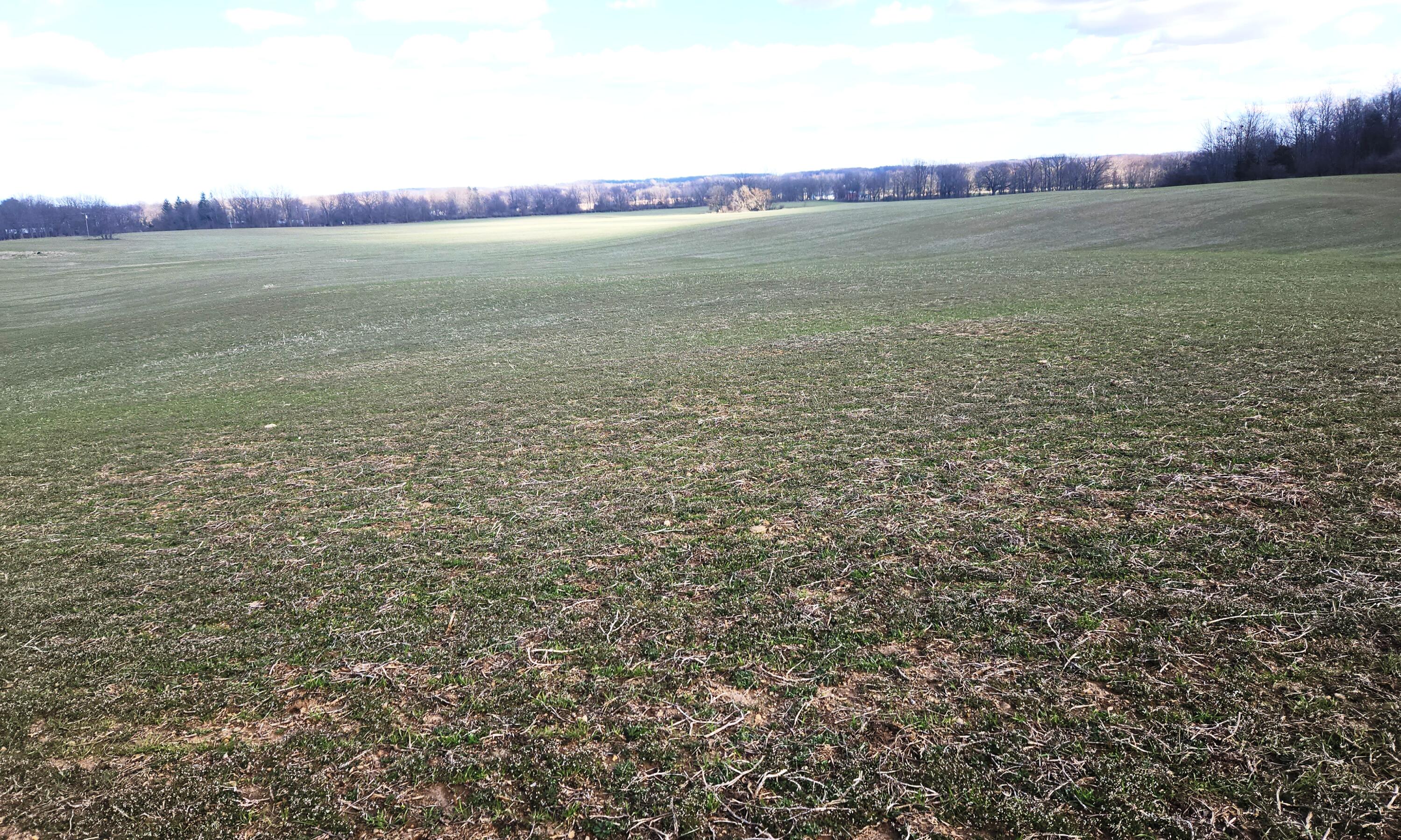 13245 Logan Road Manchester, MI 48158 - Photo 3 of 21 2Farmland2