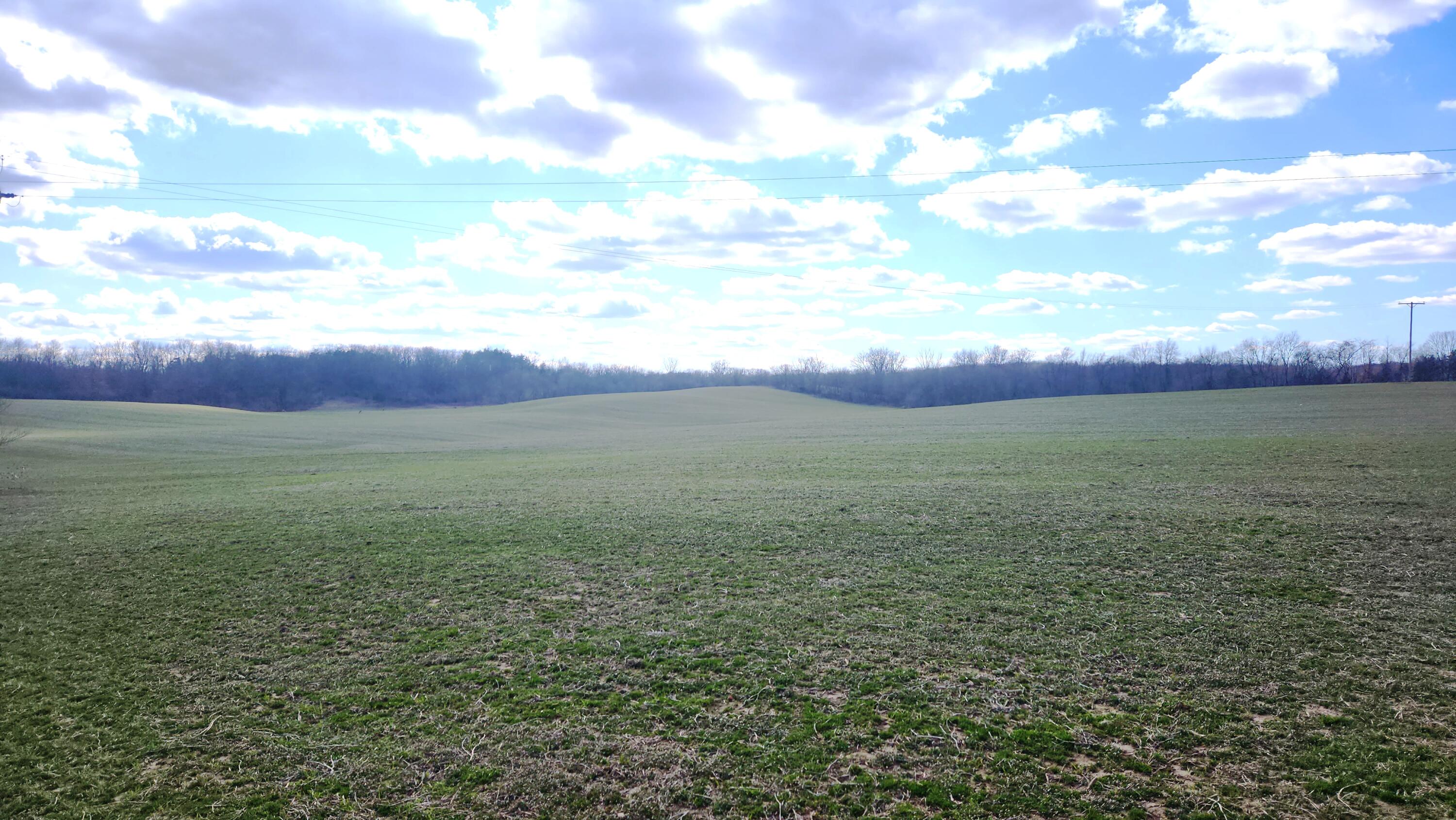 13245 Logan Road Manchester, MI 48158 - Photo 4 of 21 3Farmland3