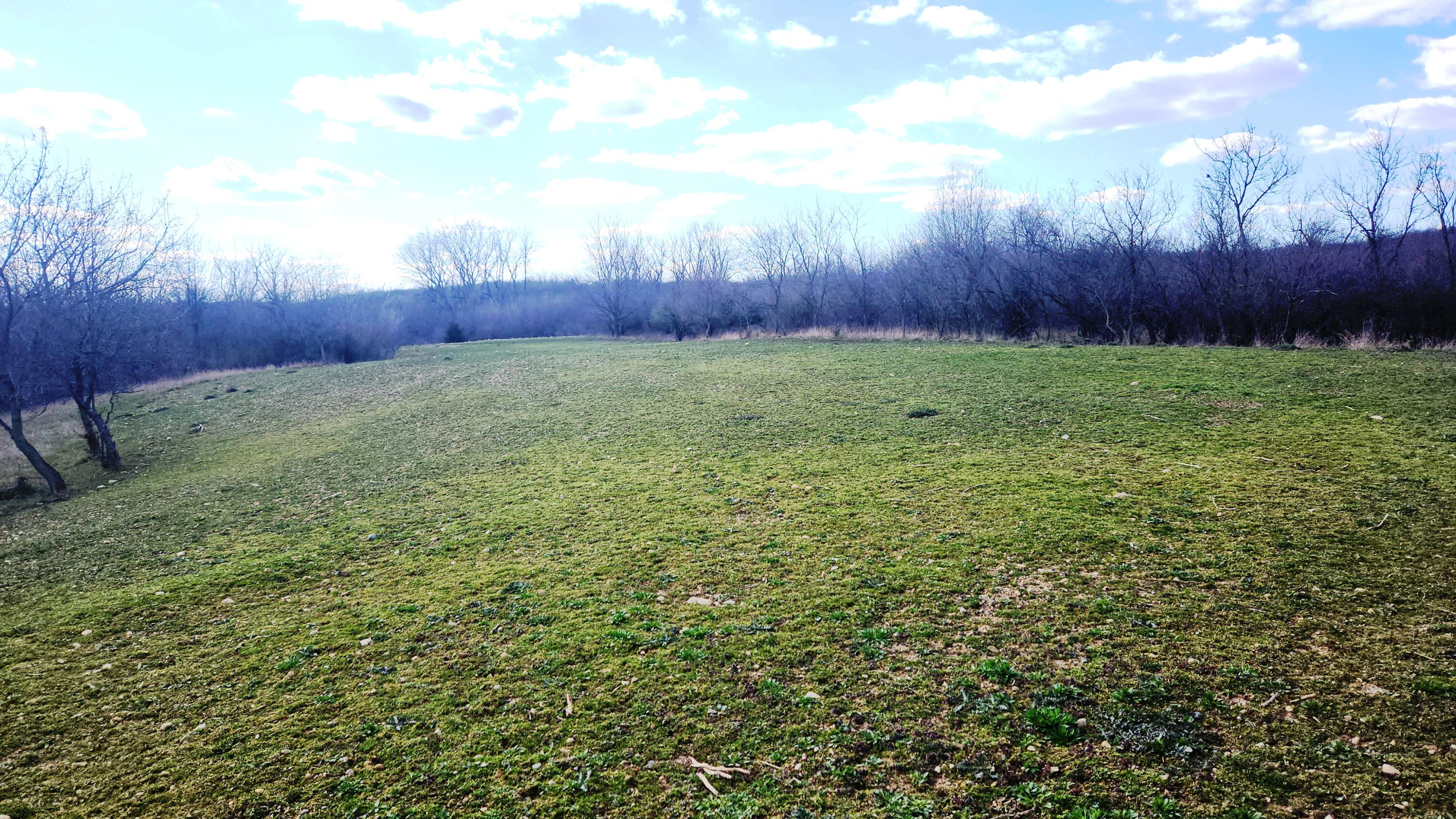 13245 Logan Road Manchester, MI 48158 - Photo 5 of 21 4Meadow