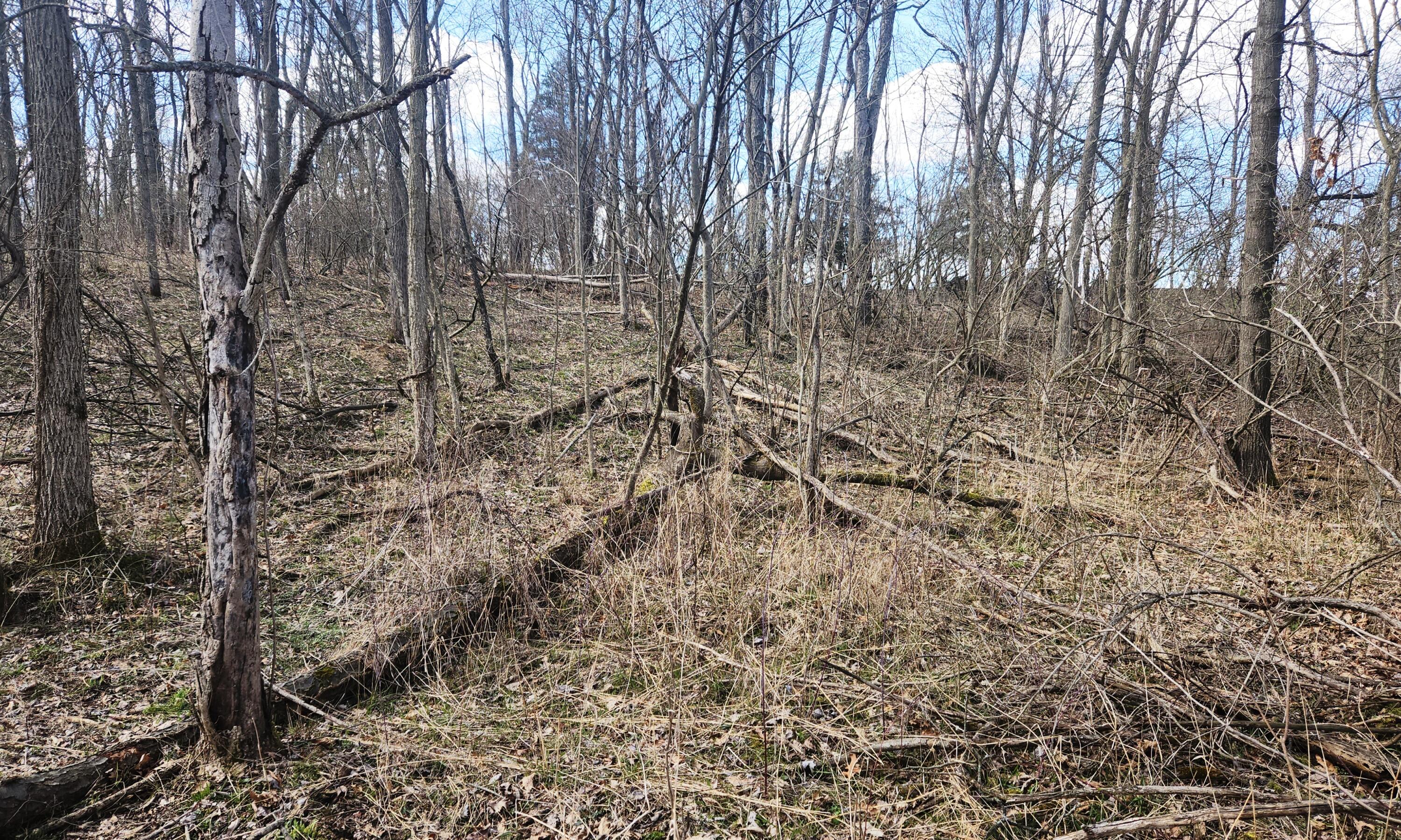 13245 Logan Road Manchester, MI 48158 - Photo 7 of 21 6Woods1